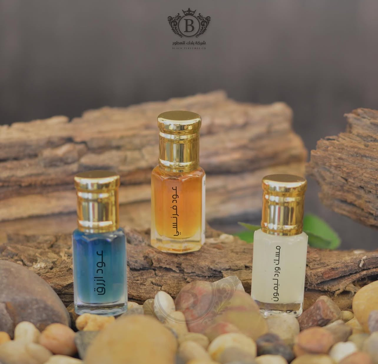 مجموعة ادهان خمرية